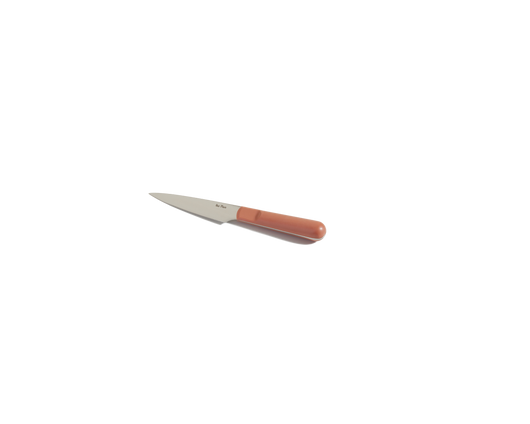 Precise Paring Knife